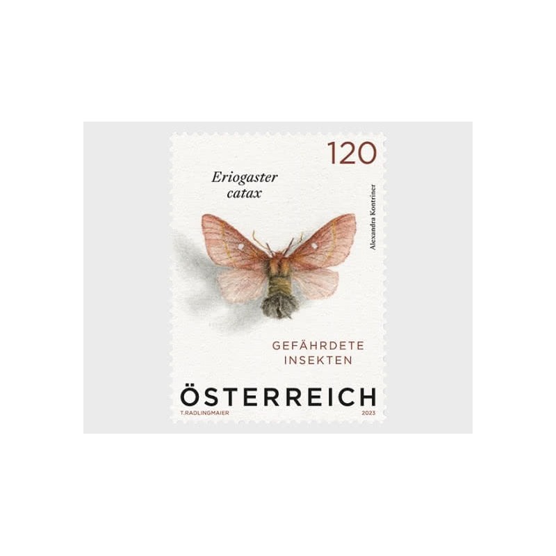 Austria 2023, Fauna: owad motyl barczatka **