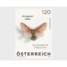 Austria 2023, Fauna: owad motyl barczatka **