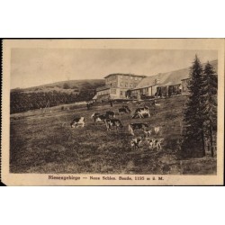 Szklarska Poręba, Schronisko na Hali Szrenickiej, Karkonosze