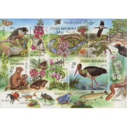 Czechy 2023, Fauna i flora, ptaki, ssaki, owady, gady, ryby, kwiaty **