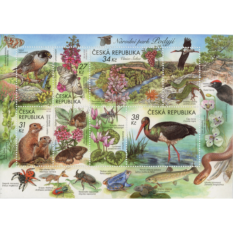 Czechy 2023, Fauna i flora, ptaki, ssaki, owady, gady, ryby, kwiaty **