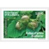 Andora Hisz. 2022, Flora: orzech laskowy **