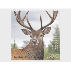 Estonia 2023, Fauna: jeleń **