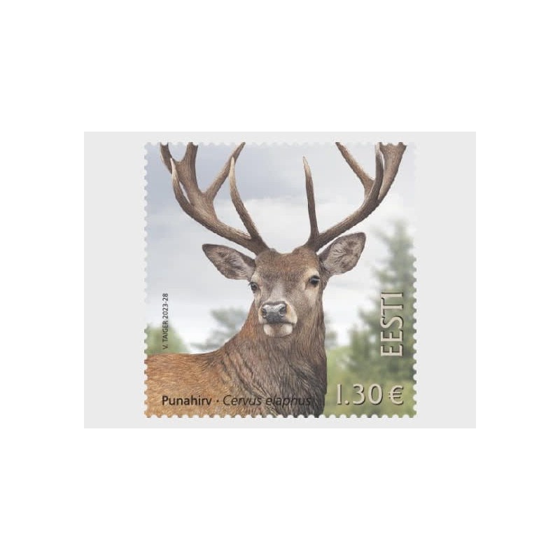 Estonia 2023, Fauna: jeleń **