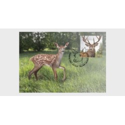 Estonia 2023, Fauna: jeleń. Karta maksimum