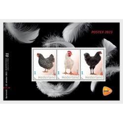 Holandia 2023, Ptaki, kury, drób. Blok **