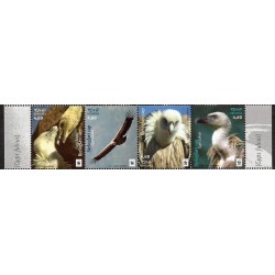 Chorwacja 2017, WWF Ptaki: sęp płowy **