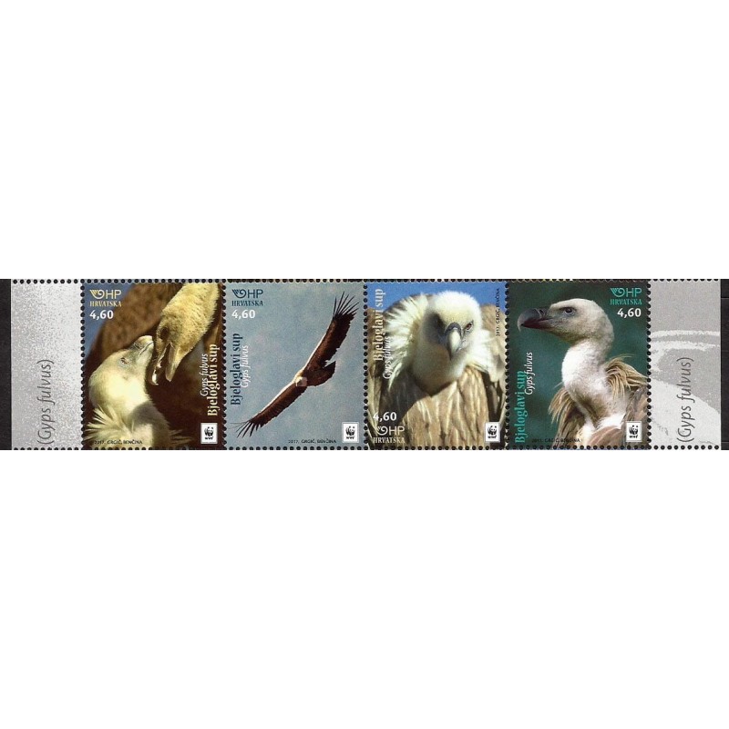 Chorwacja 2017, WWF Ptaki: sęp płowy **
