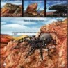 Portugalia 2023, Fauna: gady, płazy owady, skorupiaki **