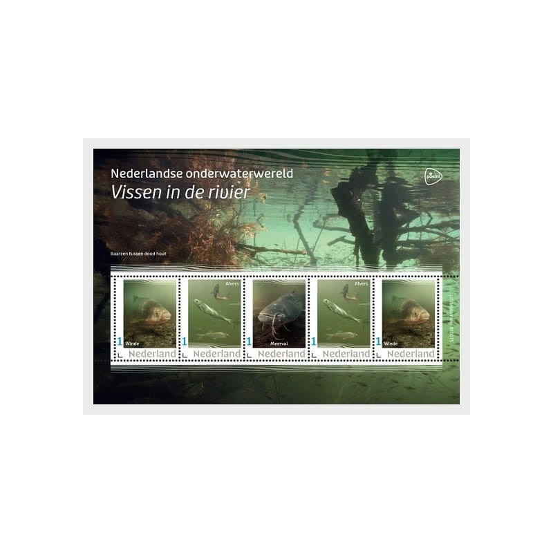 Holandia 2023, Fauna i flora podwodna, ryby **
