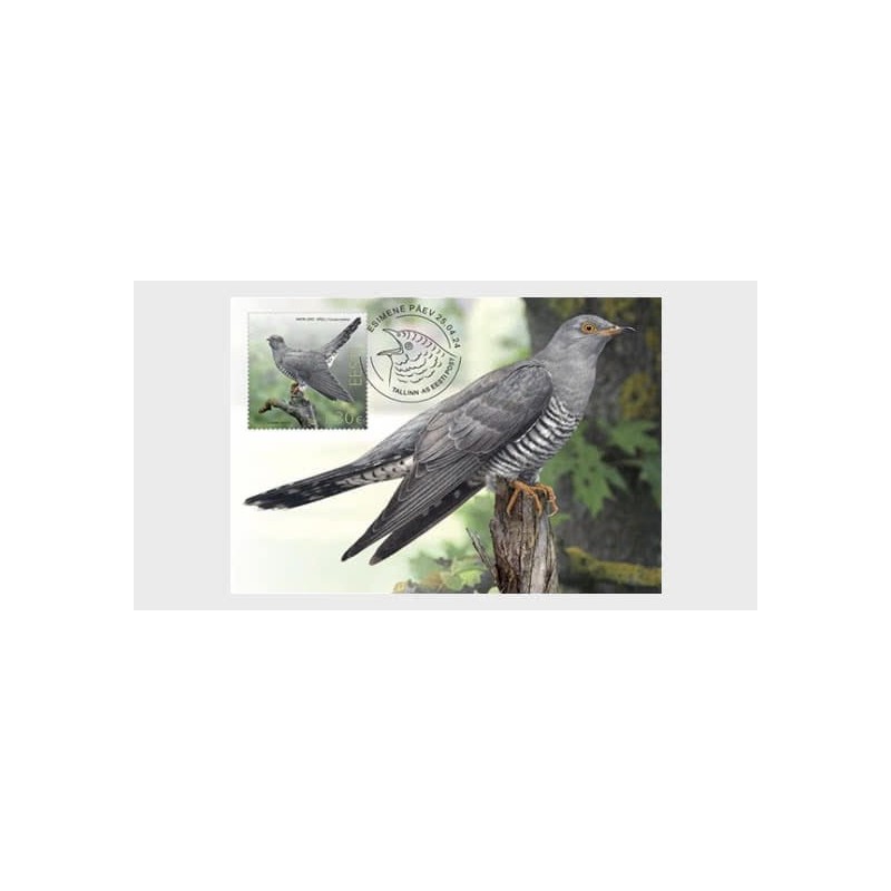 Estonia 2024, Ptak: kukułka. Karta maksimum