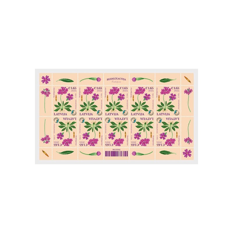 Łotwa 2024, Flora: kwiat pierwiosnek. Arkusz **