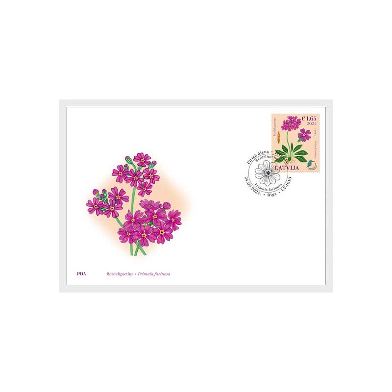 Łotwa 2024, Flora: kwiat pierwiosnek. FDC