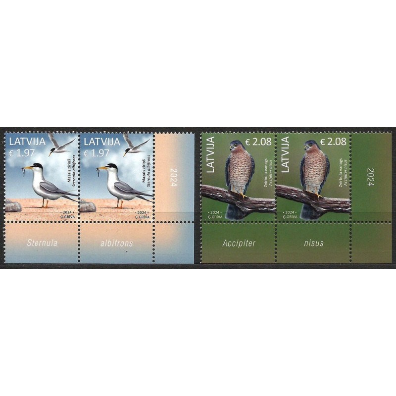 Łotwa 2024, Ptaki: rybitwa i krogulec. Margines z nazwą ptaka **