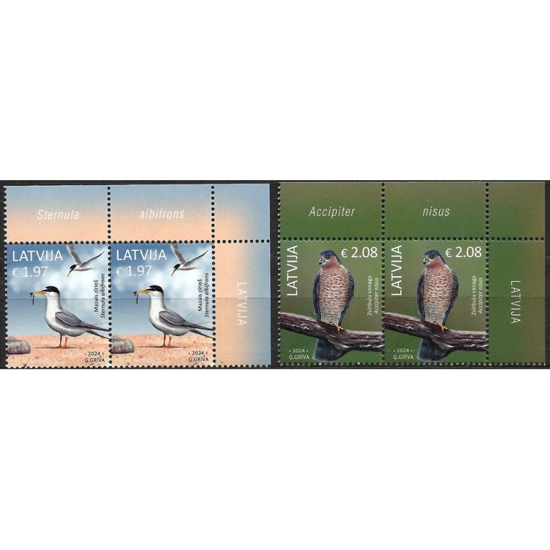 Łotwa 2024, Ptaki: rybitwa i krogulec. Margines z nazwą ptaka **