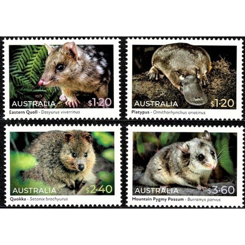 Australia 2022, Fauna: ssaki **