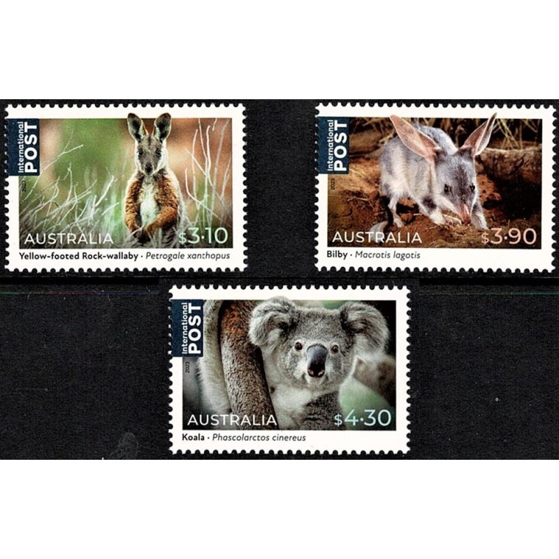 Australia 2023, Fauna: ssaki **
