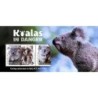 Australia 2024, Fauna: koala **