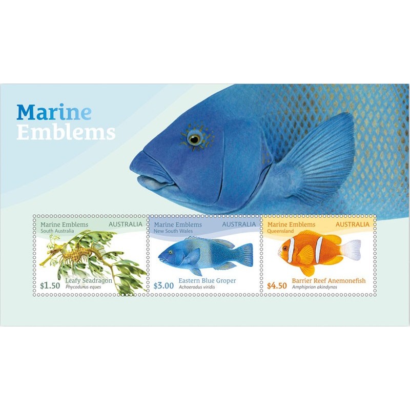 Australia 2024, Fauna: ryby **