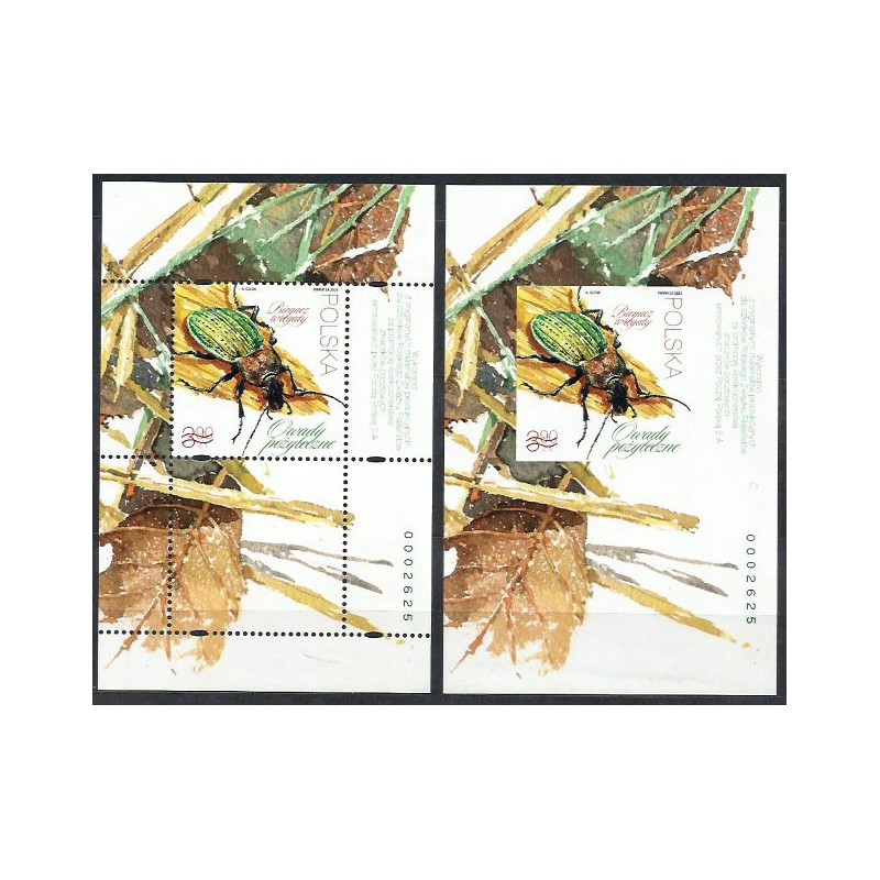 Fi 5302 ND A+B nowodruk, Owady: biegacz. 2023 **