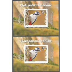 Fi 5366 ND A+B nowodruk, Ptaki: dzięcioł. 2024 **