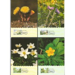 W. Alandzkie 1997, Flora: kwiaty. Karty maksimum