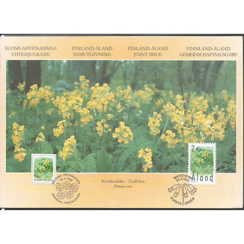 W. Alandzkie, Finlandia 1999, Flora: kwiaty. Karta maksimum