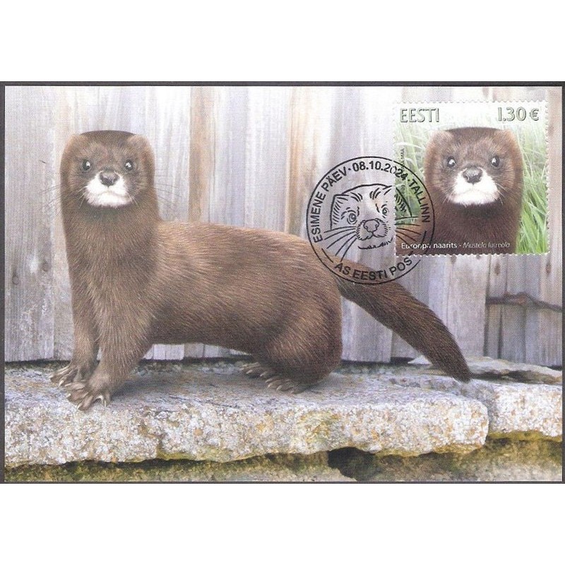 Estonia 2024, Fauna: norka. Karta maksimum