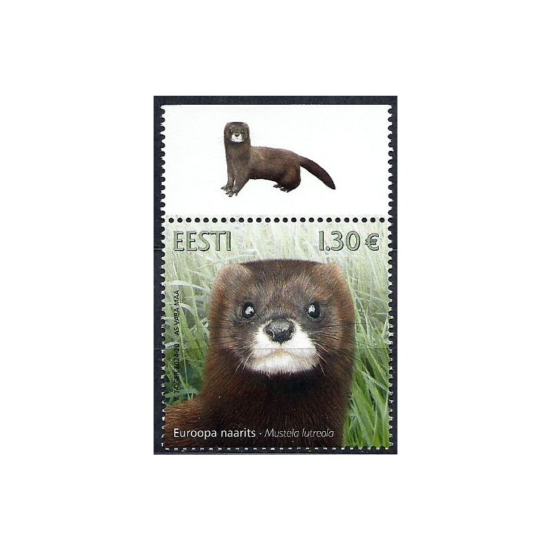 Estonia 2024, Fauna: norka. Margines **