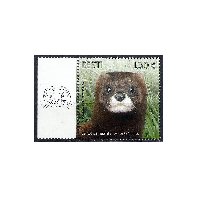 Estonia 2024, Fauna: norka. Margines **