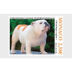 Monako 2024, Pies, buldog **