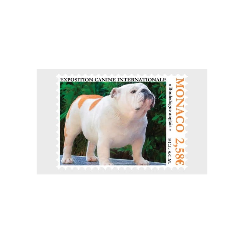 Monako 2024, Pies, buldog **