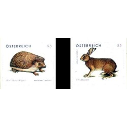 Austria 2008, Fauna: jeż i zając **