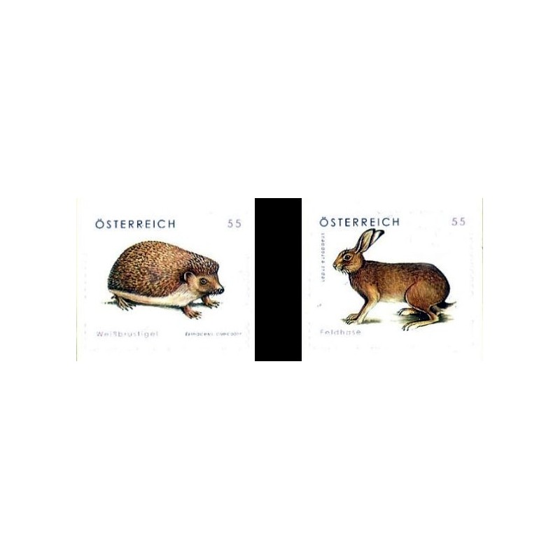 Austria 2008, Fauna: jeż i zając **