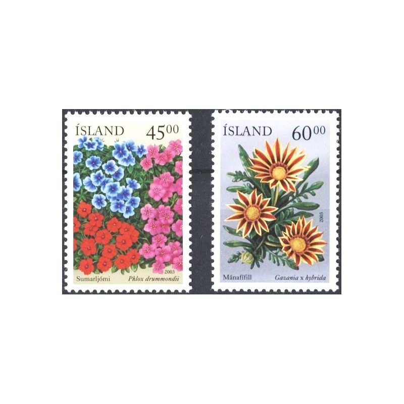 Islandia 2003, Flora, kwiaty **