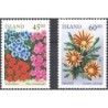 Islandia 2003, Flora, kwiaty **