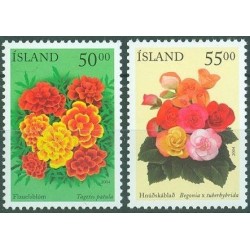 Islandia 2004, Flora, kwiaty **