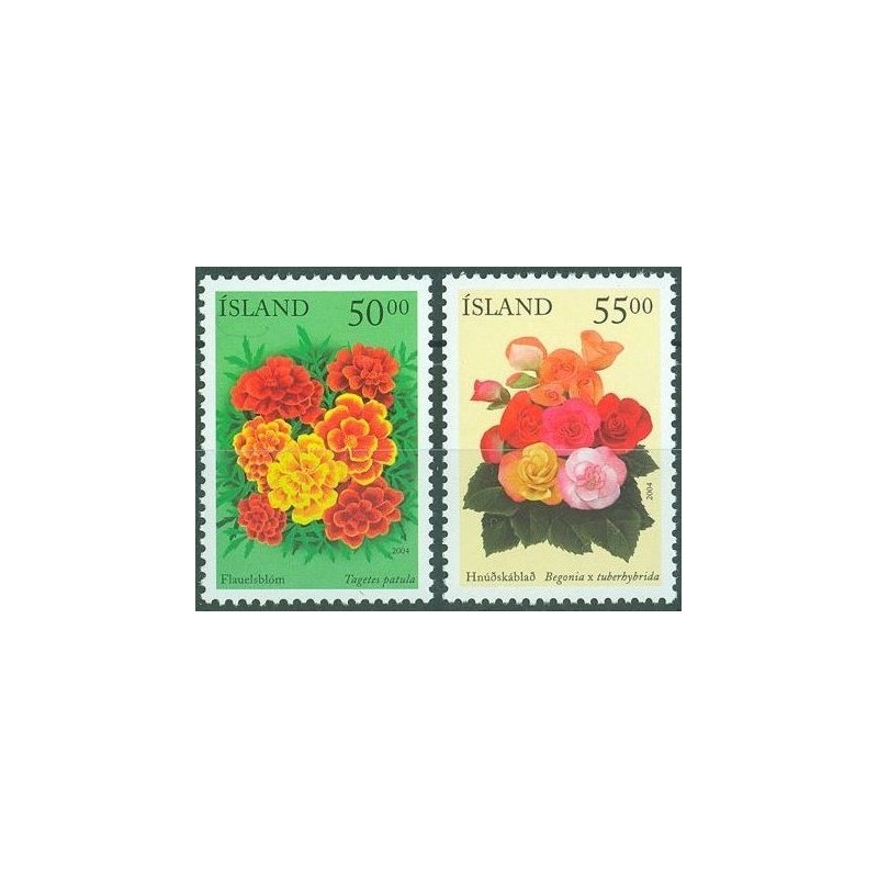 Islandia 2004, Flora, kwiaty **