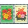 Islandia 2004, Flora, kwiaty **