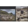 Islandia 2009, Owce, owca, hodowla **