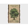 Estonia 2024, Flora, drzewo **