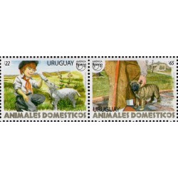 Urugwaj 2018, Zwierzęta domowe: owca, pies **