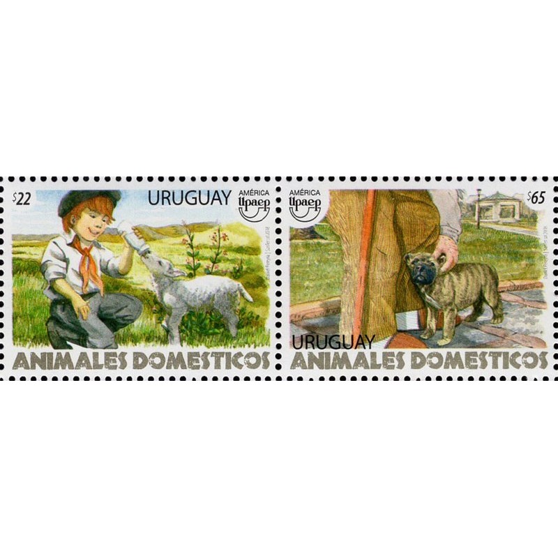 Urugwaj 2018, Zwierzęta domowe: owca, pies **