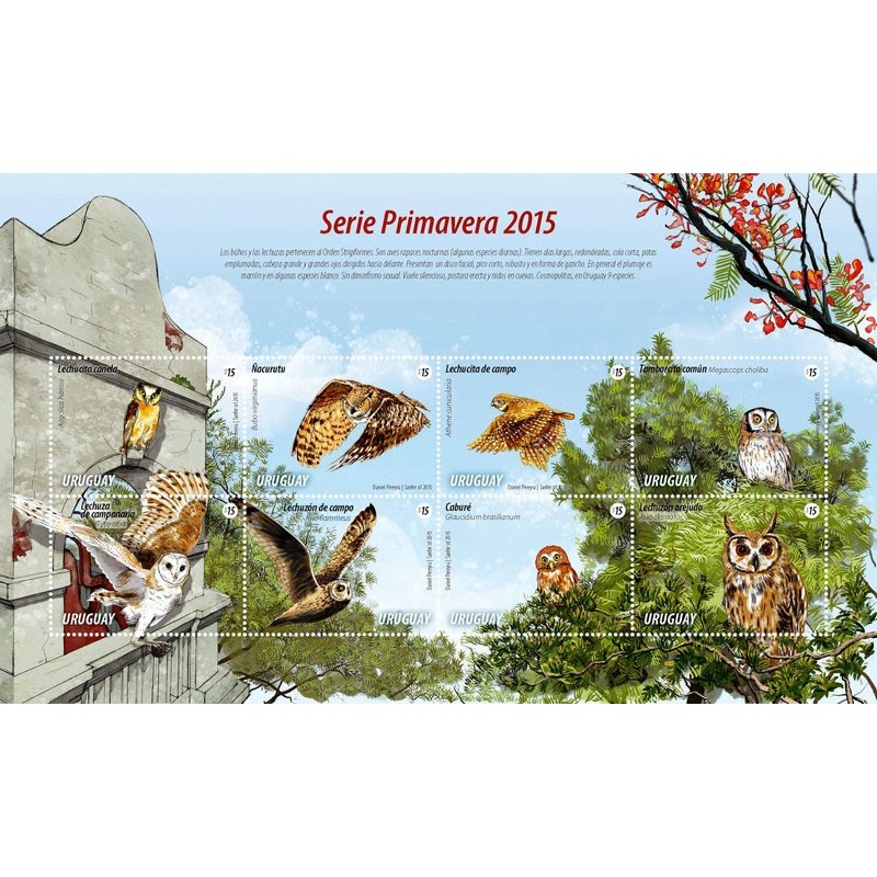 Urugwaj 2015, Ptaki: sowy **