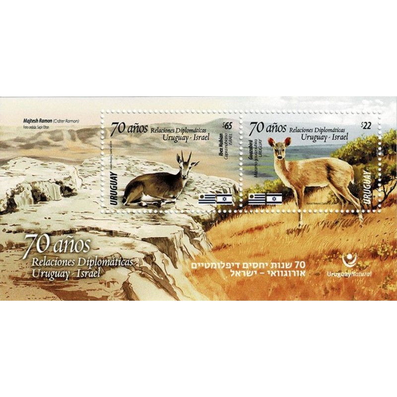 Urugwaj 2019, Izrael, fauna, koziorożec **