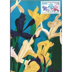 Francja 1969, Kwiaty, wystawa. Karta maksimum