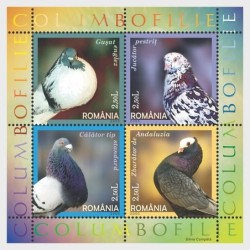 Rumunia 2005, Ptaki: gołębie **