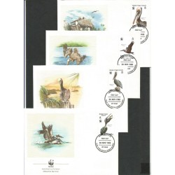 Br. W. Dziewicze 1988, WWF: ptak pelikan brunatny. FDC