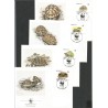 Monako 1991, WWF: żółwie. FDC