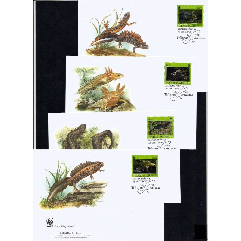 Estonia 2010, WWF: płaz traszka. FDC
